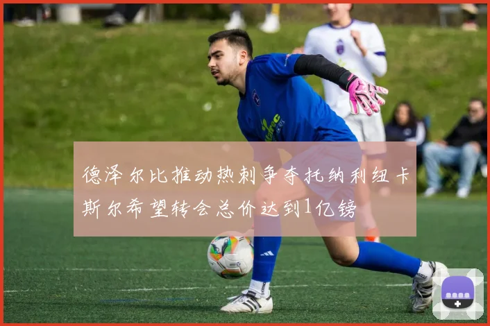 德泽尔比推动热刺争夺托纳利纽卡斯尔希望转会总价达到1亿镑